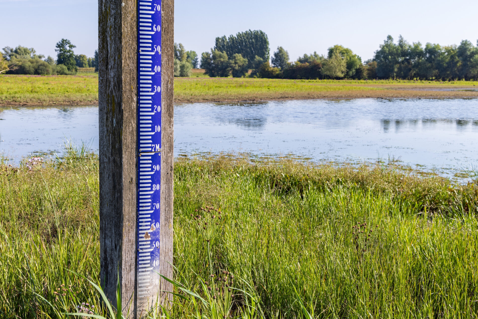 The Rhine water level at Düsseldorf is falling to a historic low of 14 centimeters. Low water levels are increasingly straining shipping, industry, and the economy.