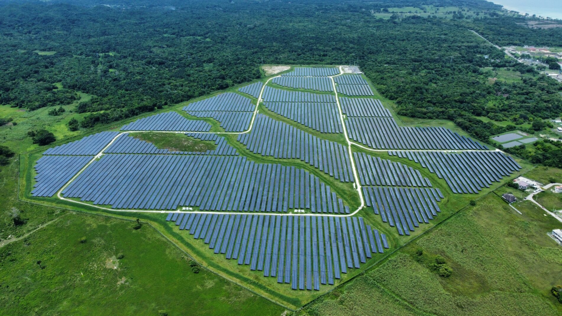 Neue Studien zeigen: Solarparks können Vogelvielfalt und Lebensräume beeinträchtigen. Entscheidend sind Standort, Flächennutzung und Pflege