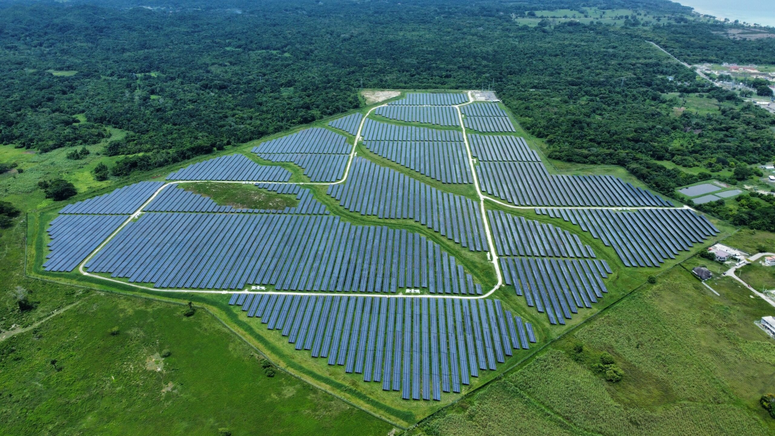 Solarparks: Neue Science-Studie misst Rückgang der Vogelvielfalt in China