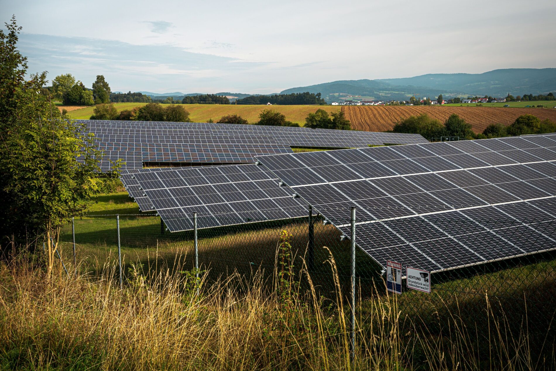 Unter den Modulen von Solarparks liegt die Pflanzenbiomasse laut neuer Meta-Analyse in feuchteren Regionen im Mittel 38 Prozent niedriger