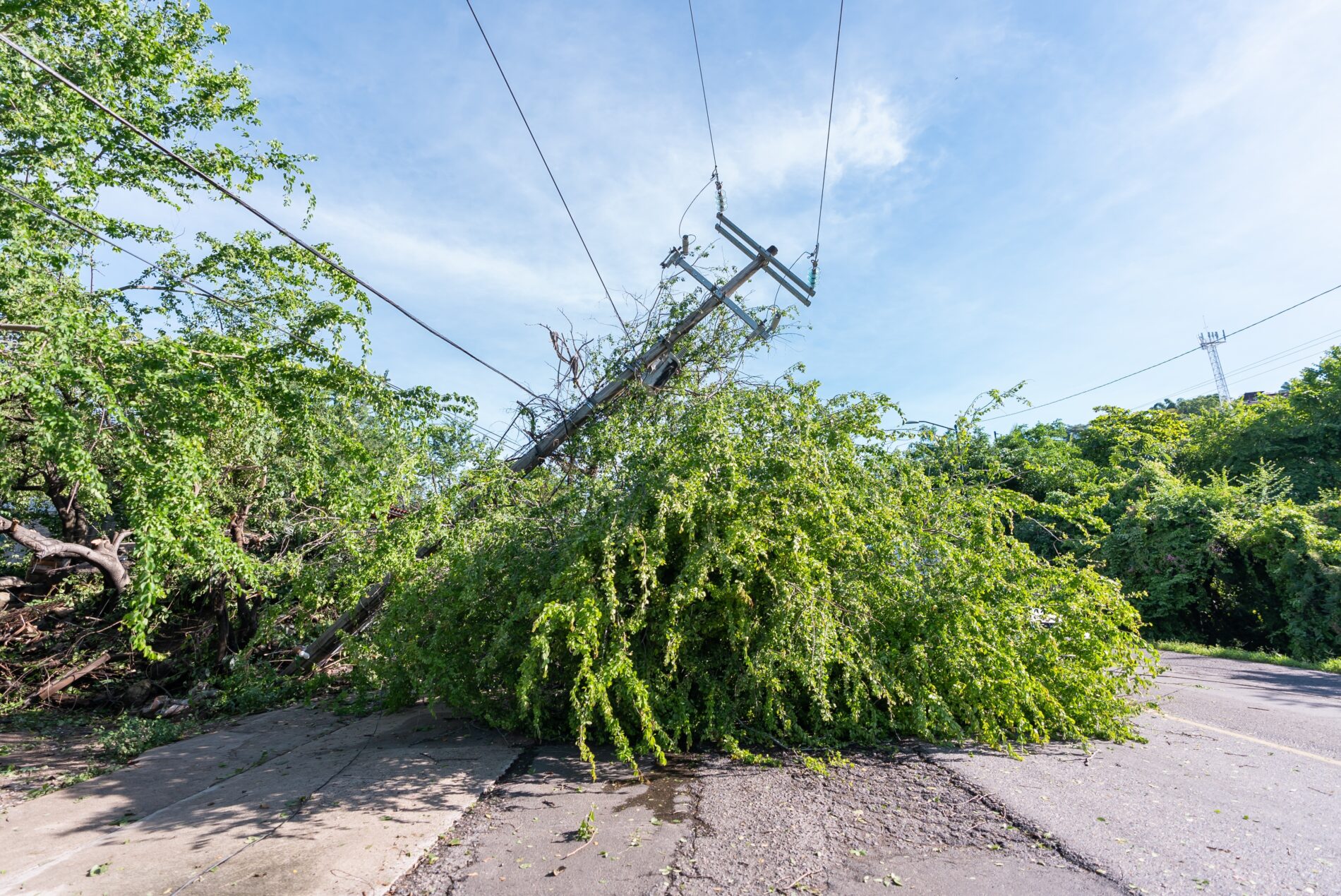 Im Westerwald fiel nach dem schweren Unwetter in 65 Gemeinden der Strom aus. Viele Netzschäden sind weiterhin nur provisorisch behoben