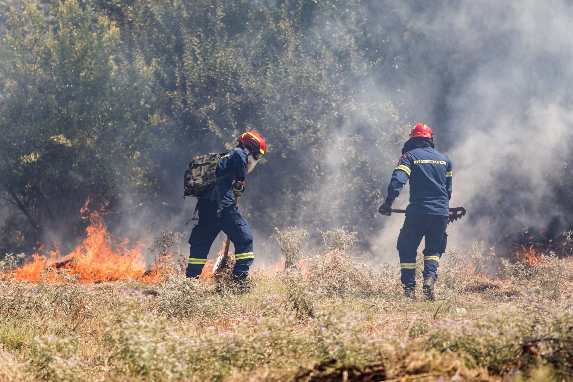 Der Waldbrand in Griechenland verwüstet Häuser, Wälder und Felder. Ermittler führen die Brandursache auf eine Windpark-Leitung zurück