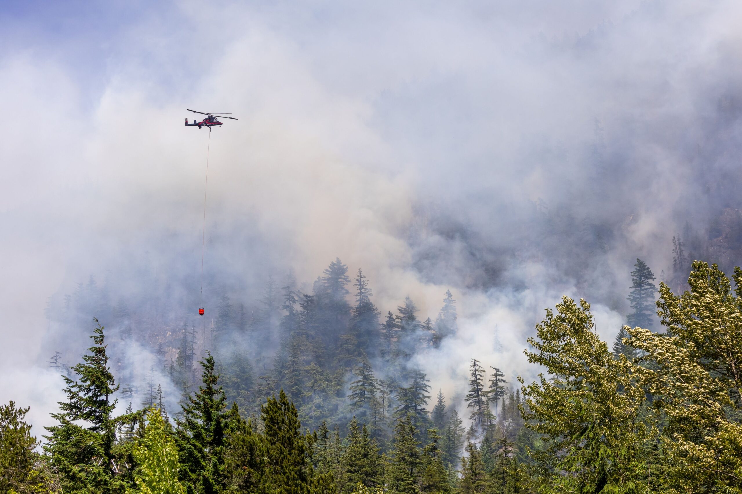 Hürtgenwald: Großbrand ausgerechnet an geplanter 222-Hektar-Windkraftfläche