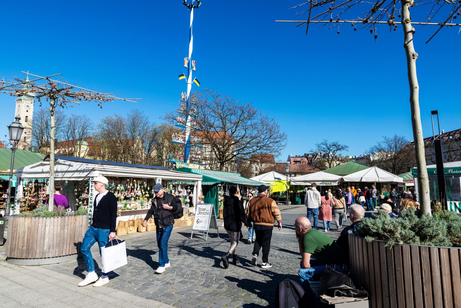 Am Viktualienmarkt verdorren neue Bäume trotz bezahlter Pflege und Bewässerung. Wer die Leistungen kontrollierte, bleibt bislang offen