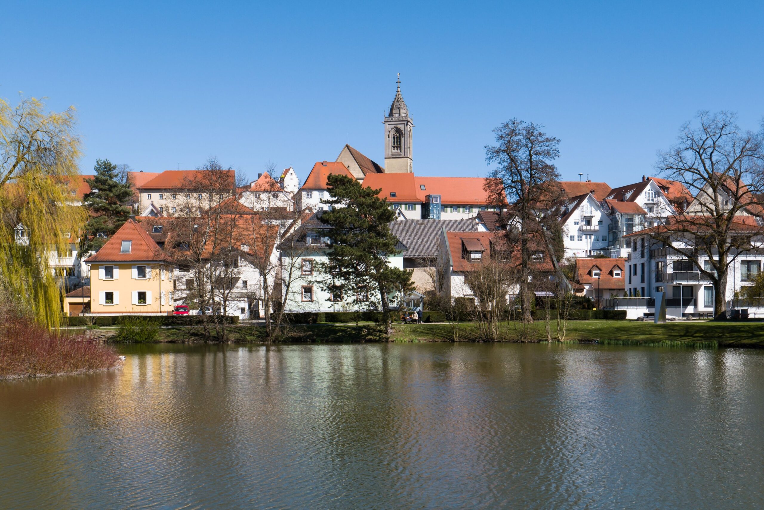 Stromausfall in Pfullendorf: Marder legt ganze Stadt nach Kurzschluss im Umspannwerk lahm