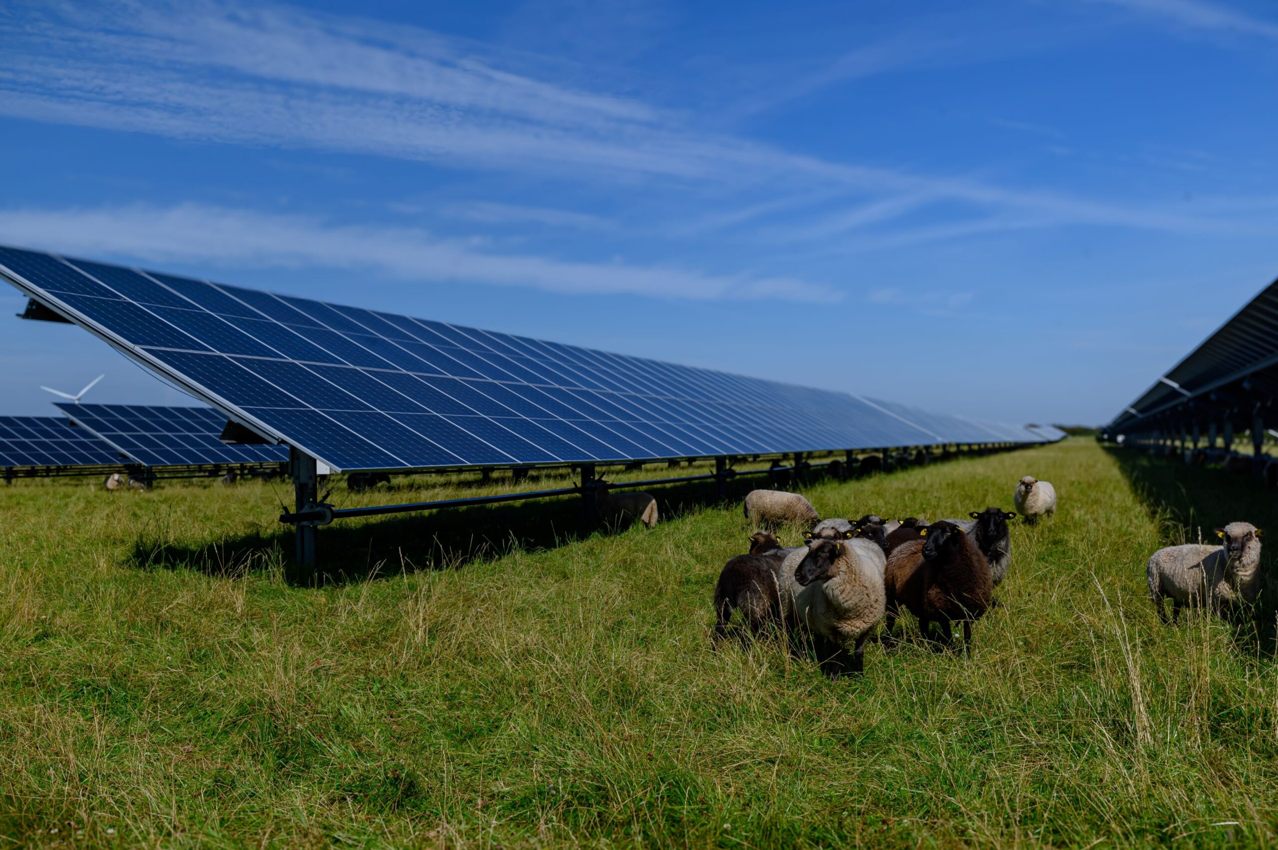 Bergheim stoppt Agri-PV auf hochwertigem Acker – Landwirtschaft bekommt Vorrang
