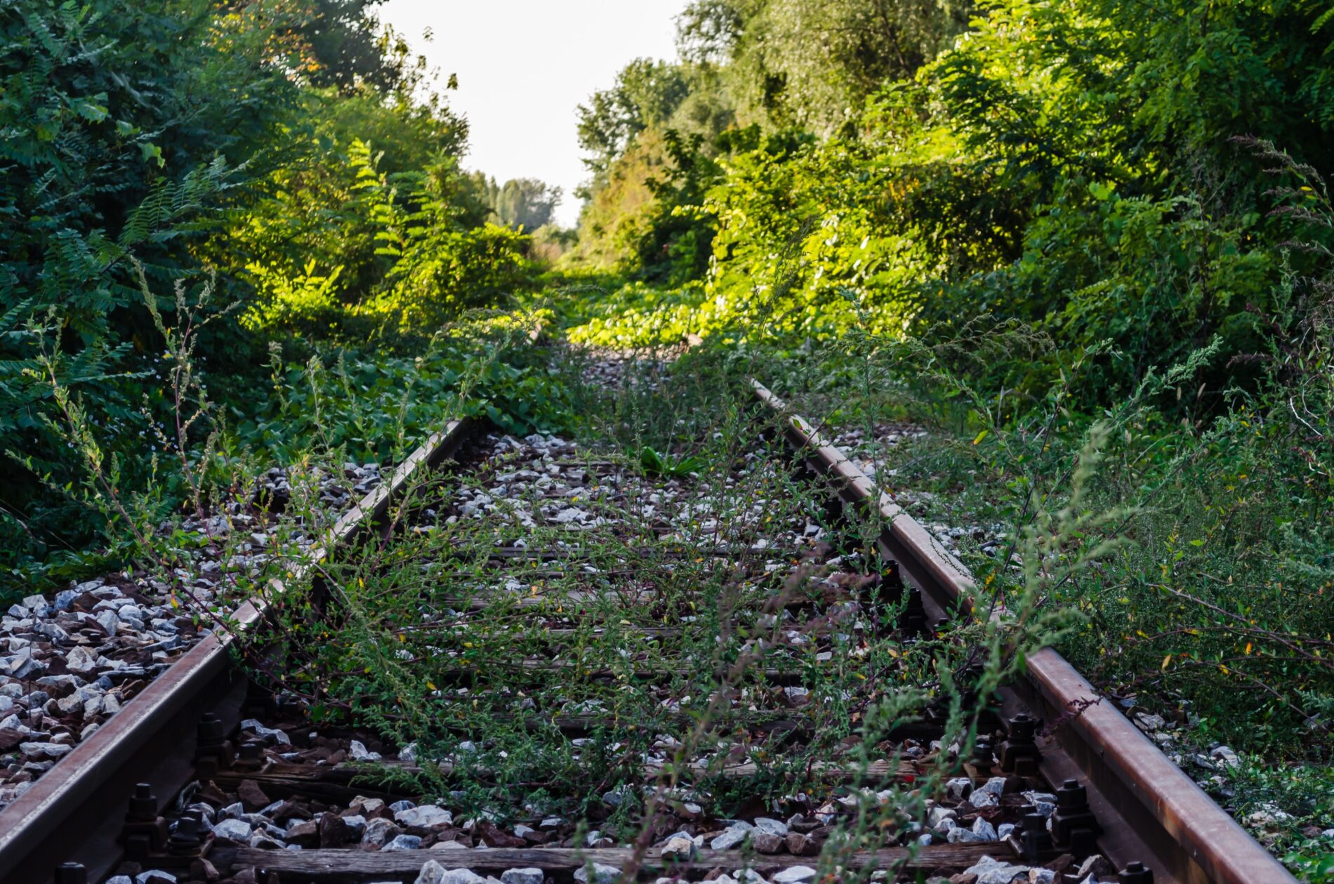 Baden-Württemberg legt elf Bahnstrecken auf Eis. Wegen fehlender Bundesmittel und steigender Trassenpreise fehlen Hunderte Millionen Euro