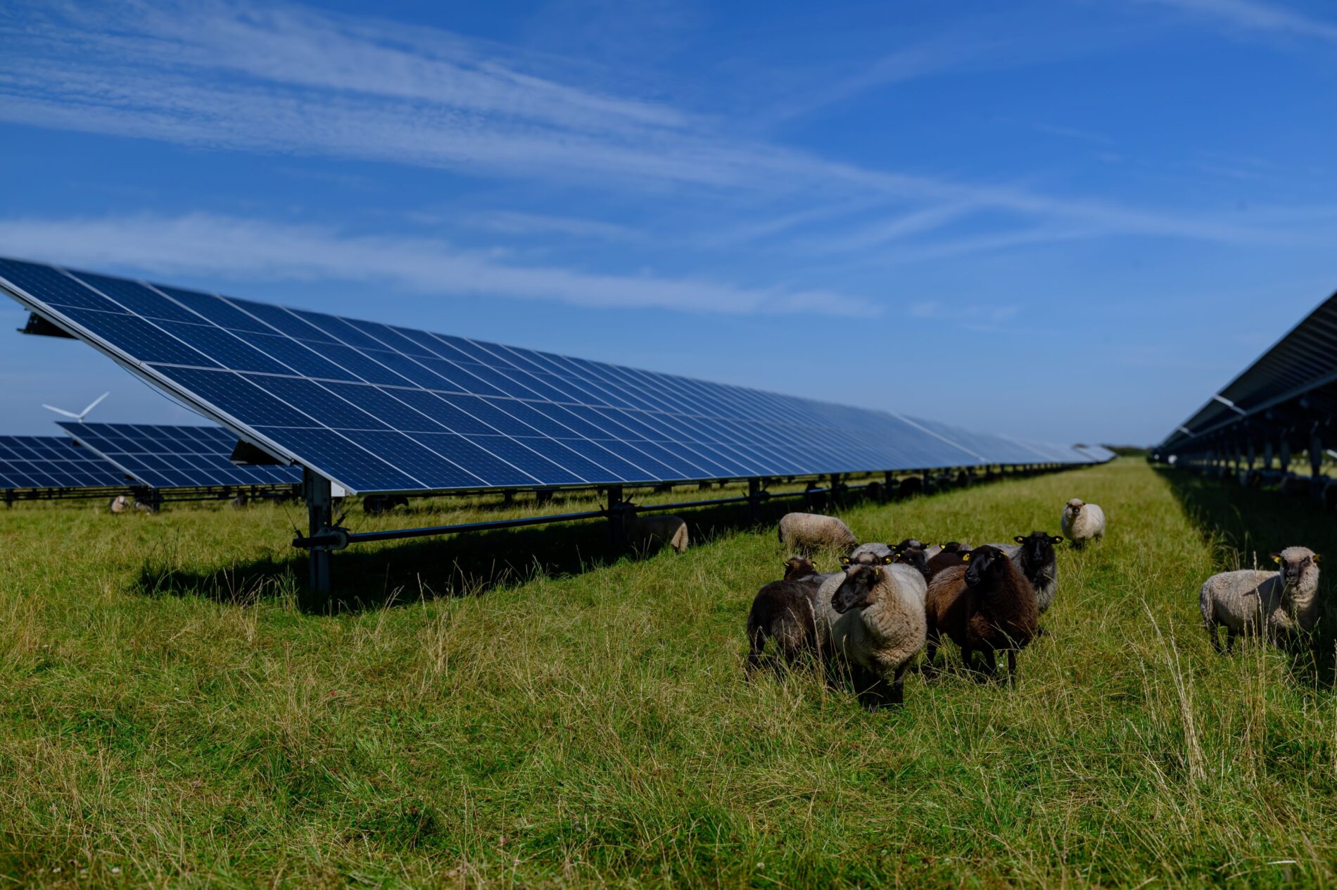 Bergheim rejects agri-PV on high-quality arable land. The municipality prioritizes food production and limits solar areas.